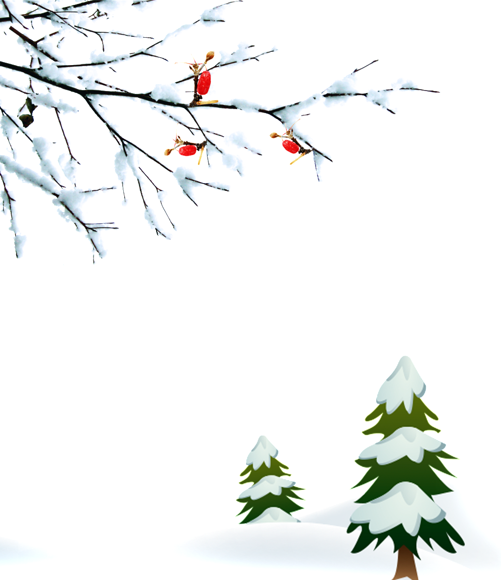 Winter Branches Snow Png - Winter Transparent PNG - 1024x1185 - Free Download on - Transparent PNG Free Download