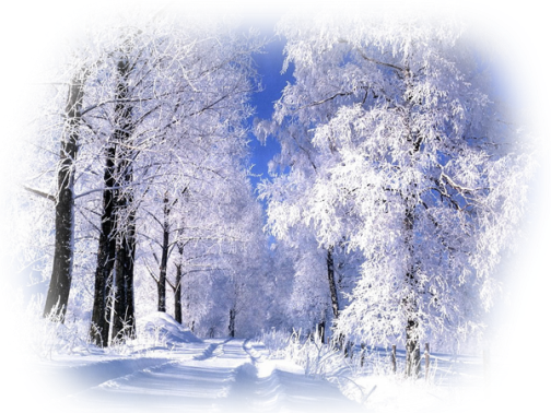 Realistic Winter Landscapes By Evgeniy Karlovich - Saskatoon Saskatchewan Winter Transparent PNG - 504x378 - Free Download on - Transparent PNG Free Download