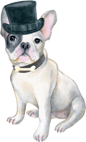 Art Print: Dog In Red Winter Hat Transparent PNG - 417x500 - Free Download on - Transparent PNG Free Download