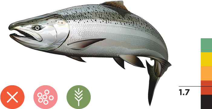 Central Valley Spring-run Chinook Salmon - Sacramento River Winter Run Chinook Salmon Transparent PNG - 700x373 - Free Download on - Transparent PNG Free Download