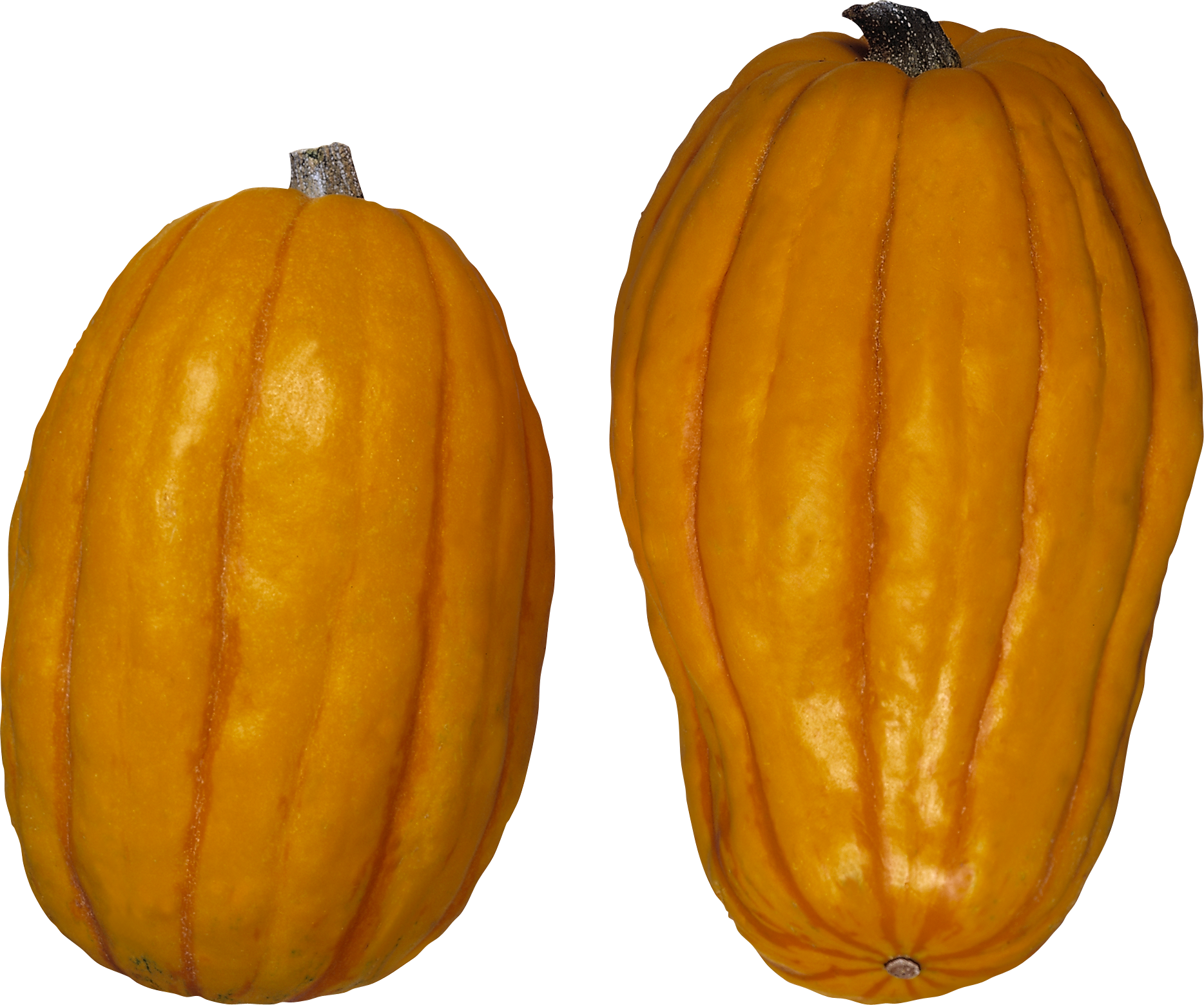 Pumpkin Png Images Free Download Banner Black And White - Winter Squash Transparent PNG - 1868x1560 - Free Download on - Transparent PNG Free Download
