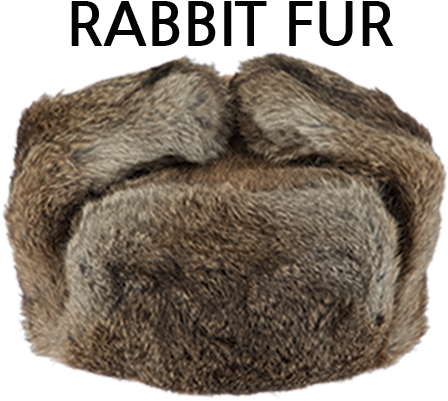 Prev - Winter Transparent PNG - 460x421 - Free Download on - Transparent PNG Free Download