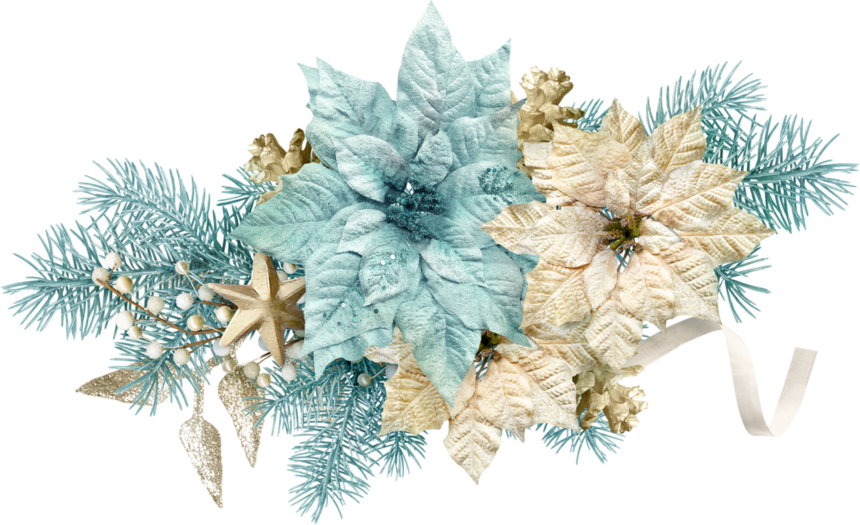 Publicat De Eu Ciresica La - Blauer Winter-tagesdamast Danken Ihnen Grußkarte Transparent PNG - 860x525 - Free Download on - Transparent PNG Free Download