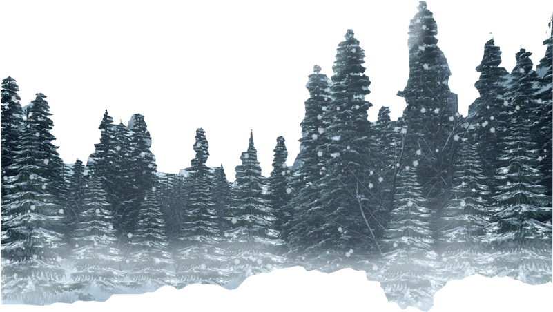Forest Png Hd Photo - Winter Forest Png Transparent PNG - 800x735 - Free Download on - Transparent PNG Free Download