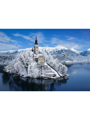 The Package Includes - Winter Transparent PNG - 310x413 - Free Download on - Transparent PNG Free Download