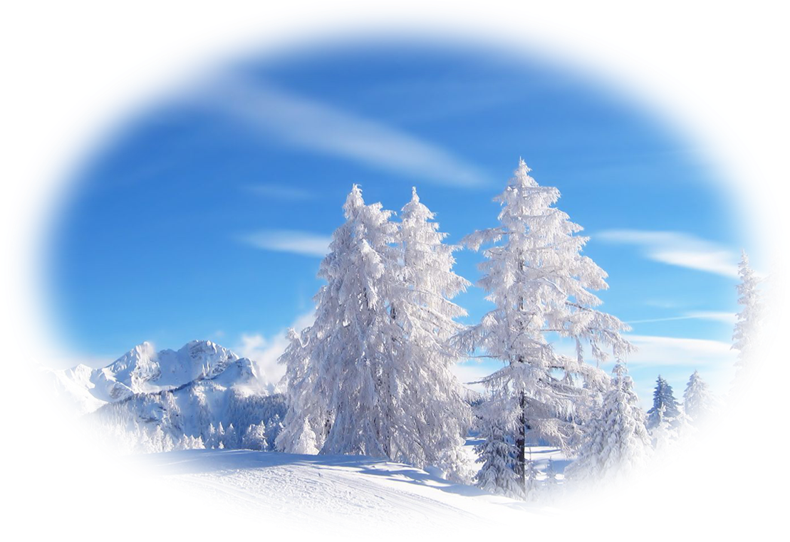 Comming Later More - Jahorina Winter Transparent PNG - 1140x760 - Free Download on - Transparent PNG Free Download