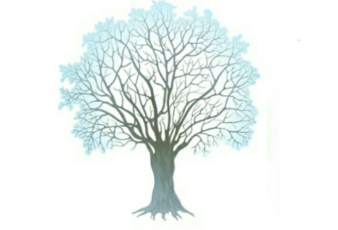 Winter Tree Clipart Png Transparent PNG - 720x660 - Free Download on - Transparent PNG Free Download