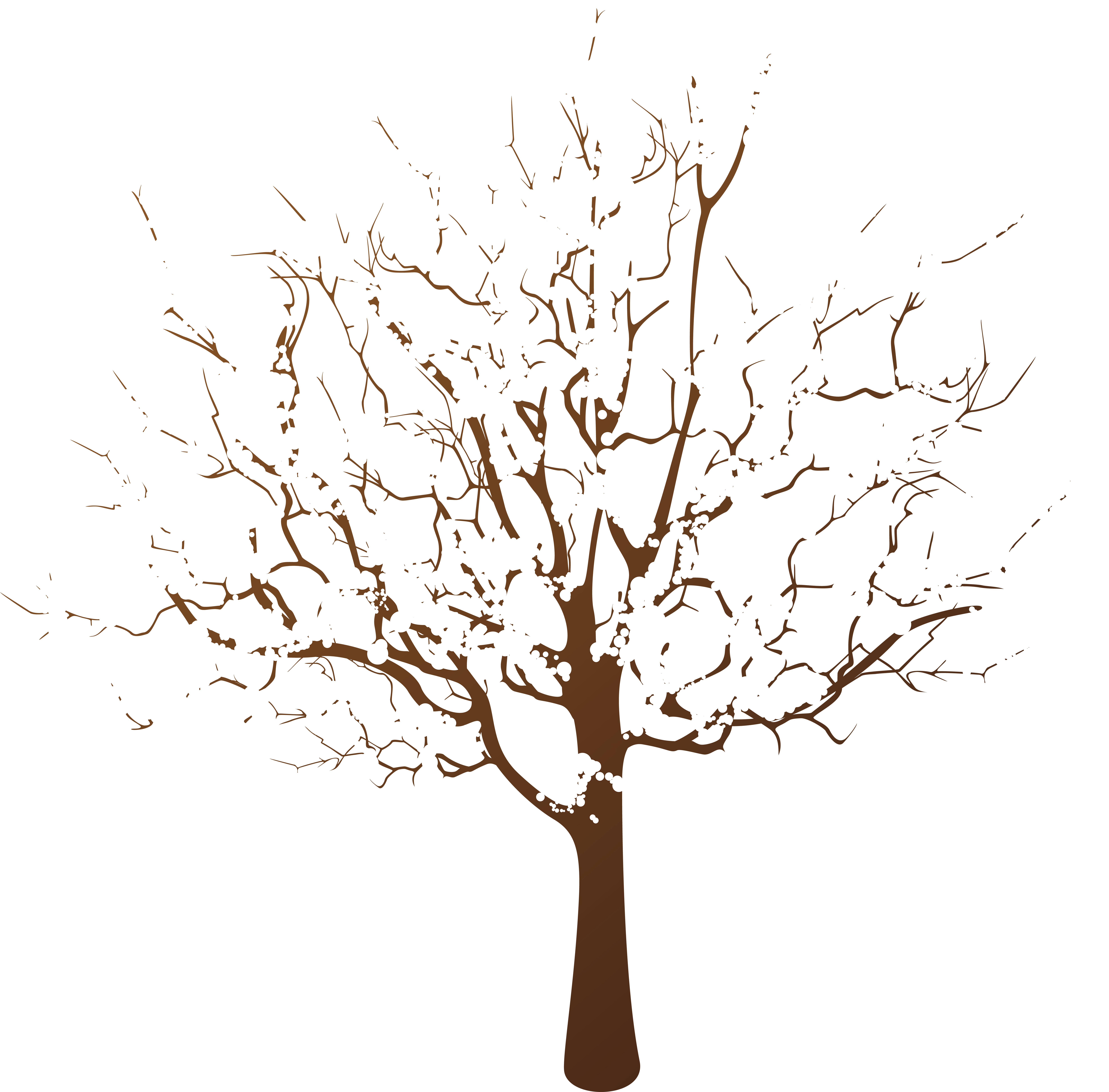 Winter Tree Transparent Clip Art Transparent PNG - 8000x7878 - Free Download on - Transparent PNG Free Download