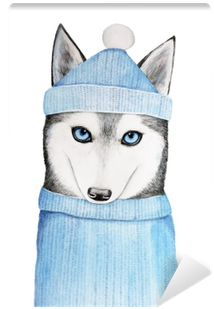 Cute Husky Dog In A Blue Winter Hat And Warm Sweater - Sweater Transparent PNG - 400x400 - Free Download on - Transparent PNG Free Download