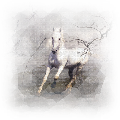 Horse In Winter - Heartland Transparent PNG - 400x400 - Free Download on - Transparent PNG Free Download
