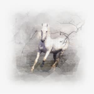 Horse In Winter - Heartland Transparent PNG - 400x400 - Free Download on - Winter Transparent PNG Free Download