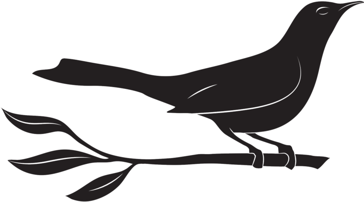 Chef Edouardo Jordan Offers Farm To Table Lunch And - Phasianidae - Free Transparent PNG Clipart Images Download. - Transparent PNG Free Download