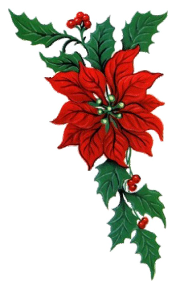 Set Of 4 Christmas Cutlery Holders Sock Santa Dinner - Flor De Nochebuena Gif - Free Transparent PNG Clipart Images Download. - Transparent PNG Free Download