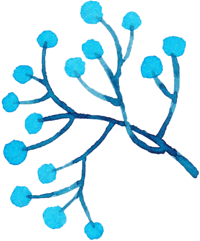 Our Dinner Menu - Our Dinner Menu - Free Transparent PNG Clipart Images Download. - Transparent PNG Free Download