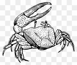 Black And White Elegant View Details With - Black And White Elegant View Details With - Free Transparent PNG Clipart Images Download. - Transparent PNG Free Download