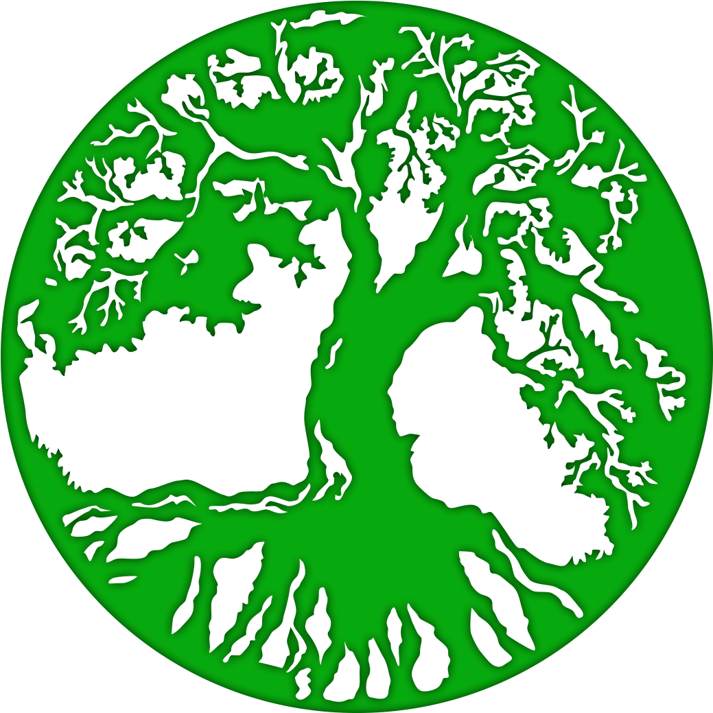 Chef Masterpiece Polish Pottery Dinner Plate 11 Transparent PNG - 1156x1200 - Free Download on - Transparent PNG Free Download