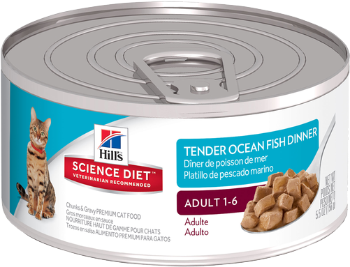 Sd Adult Tender Ocean Fish Dinner Cat Food - Hills Canned Pet Food Transparent PNG - 500x500 - Free Download on - Transparent PNG Free Download