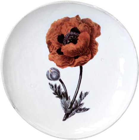 Eastern Poppy Flower Dinner Plate - Giclee Print: Gardener's Delight Art Print By Sydenham Transparent PNG - 500x500 - Free Download on - Transparent PNG Free Download