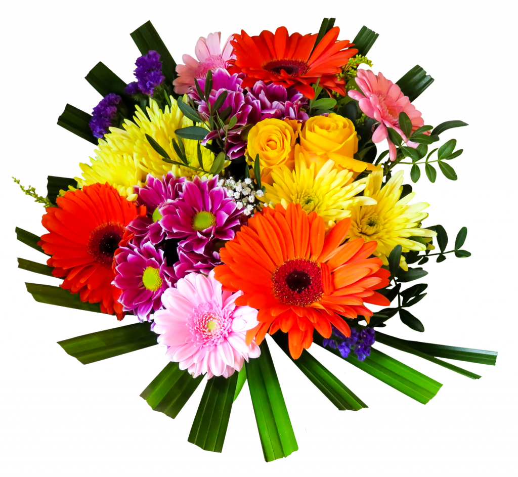 From Birthday Parties To Anniversary Dinners, Floral - Flower Image Png Hd Transparent PNG - 1024x943 - Free Download on - Transparent PNG Free Download