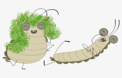 Transparent Firefly Insect Png - Cartoon, Png Download - Transparent PNG Free Download