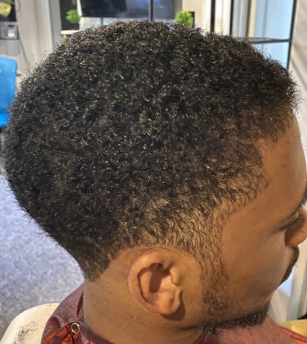 Shelly ann T., mobile hairstylist/mobile barber at Douglasville