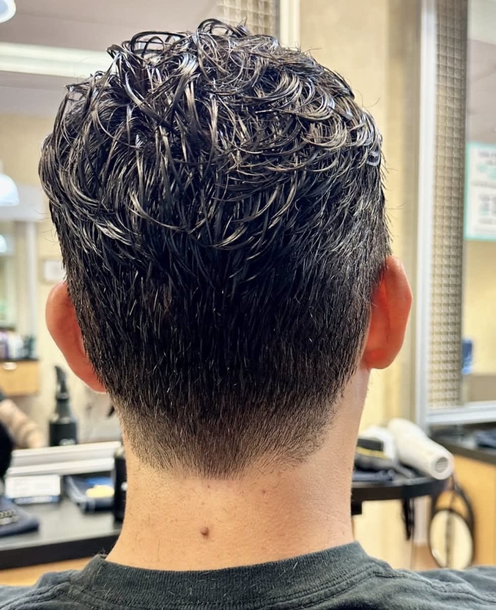 Ellonia E., mobile hairstylist/mobile barber at Plantation