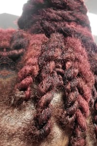 Zavar M., mobile hairstylist/mobile barber at Houston