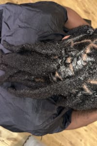 Shakaira  A., mobile hairstylist/mobile barber at Philadelphia