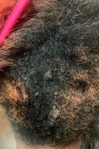 Lakeshia R., mobile hairstylist/mobile barber at Charlotte