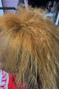 Wendy S, mobile hairstylist/mobile barber at Smyrna
