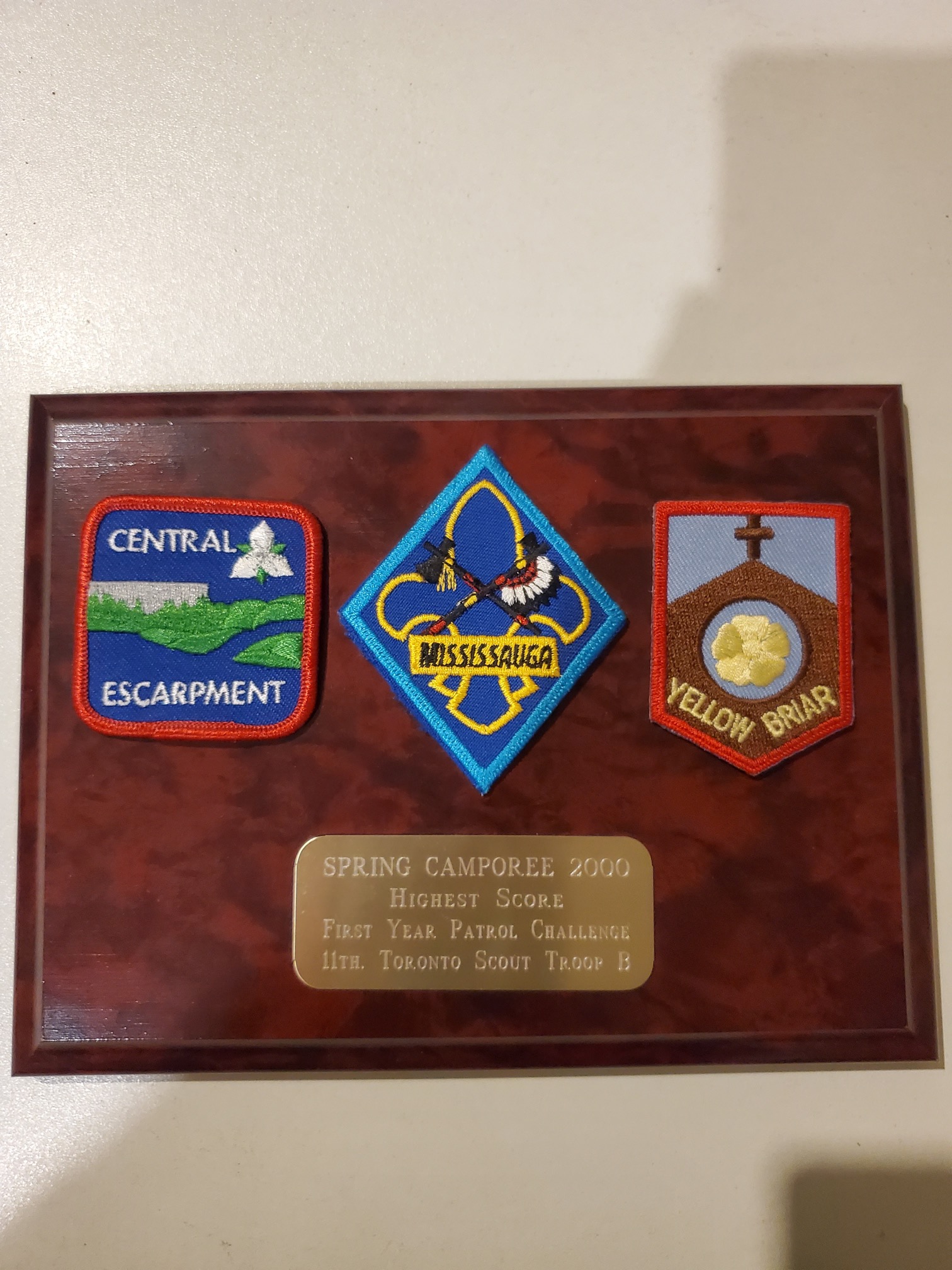Image 3