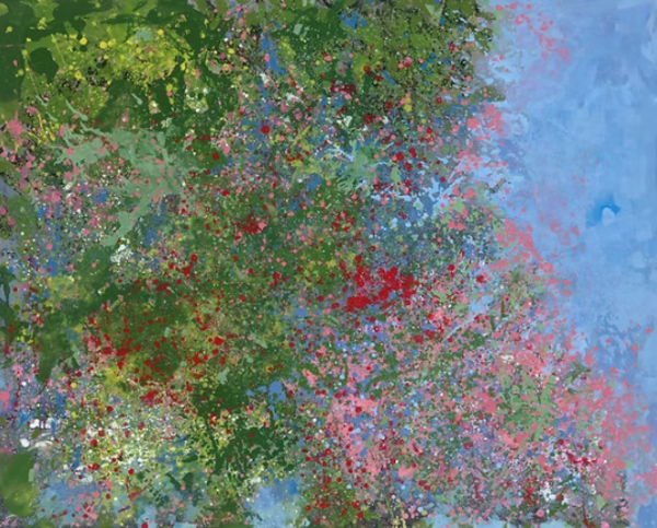 Canopy