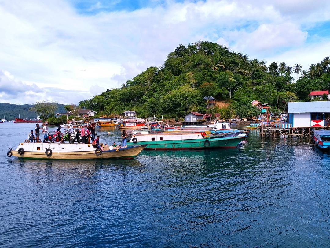 Keindahan bawah laut Pulau Lembeh dengan biota laut langka dan terumbu karang