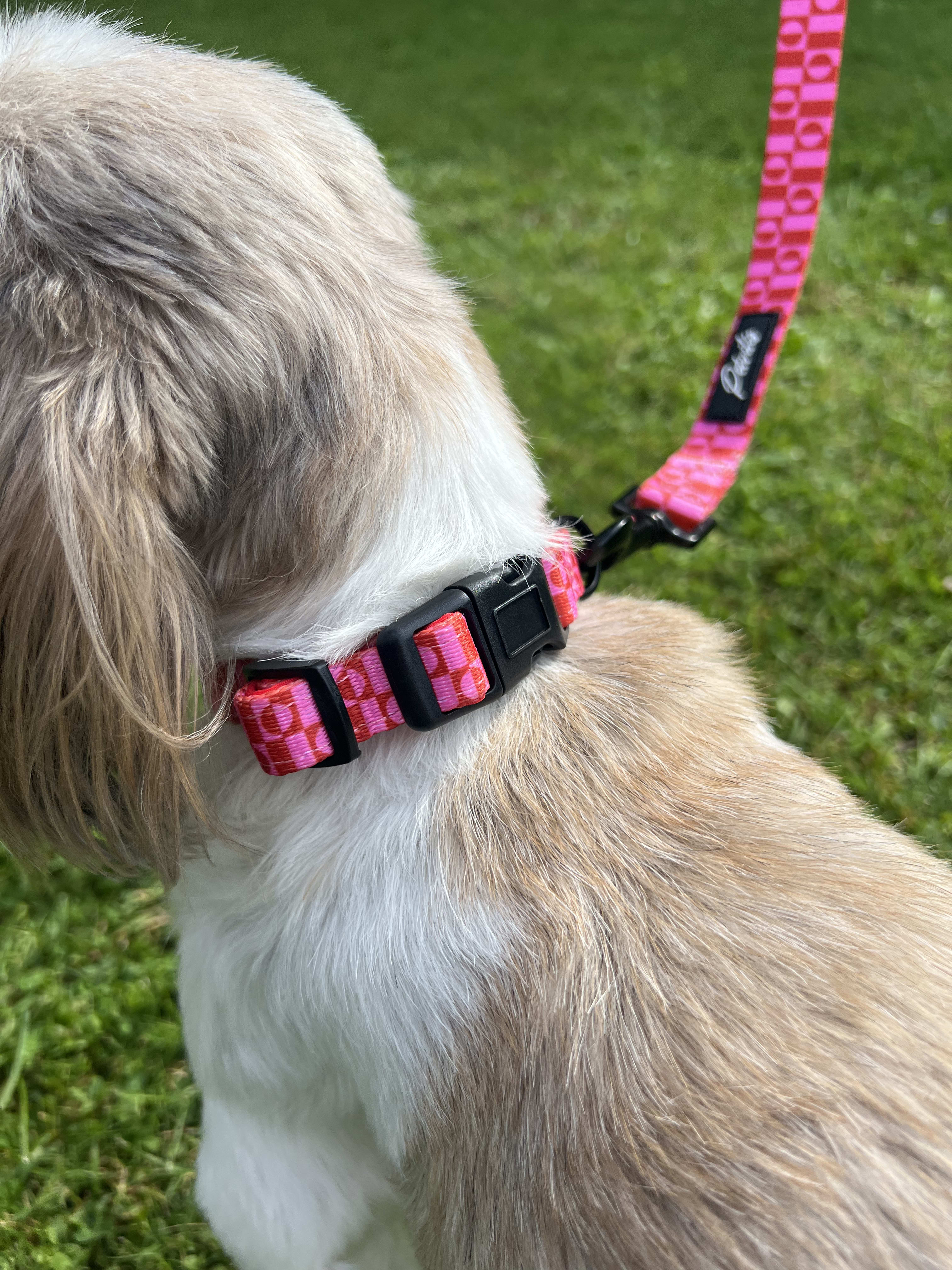 Collar "Pink Paws" – 5