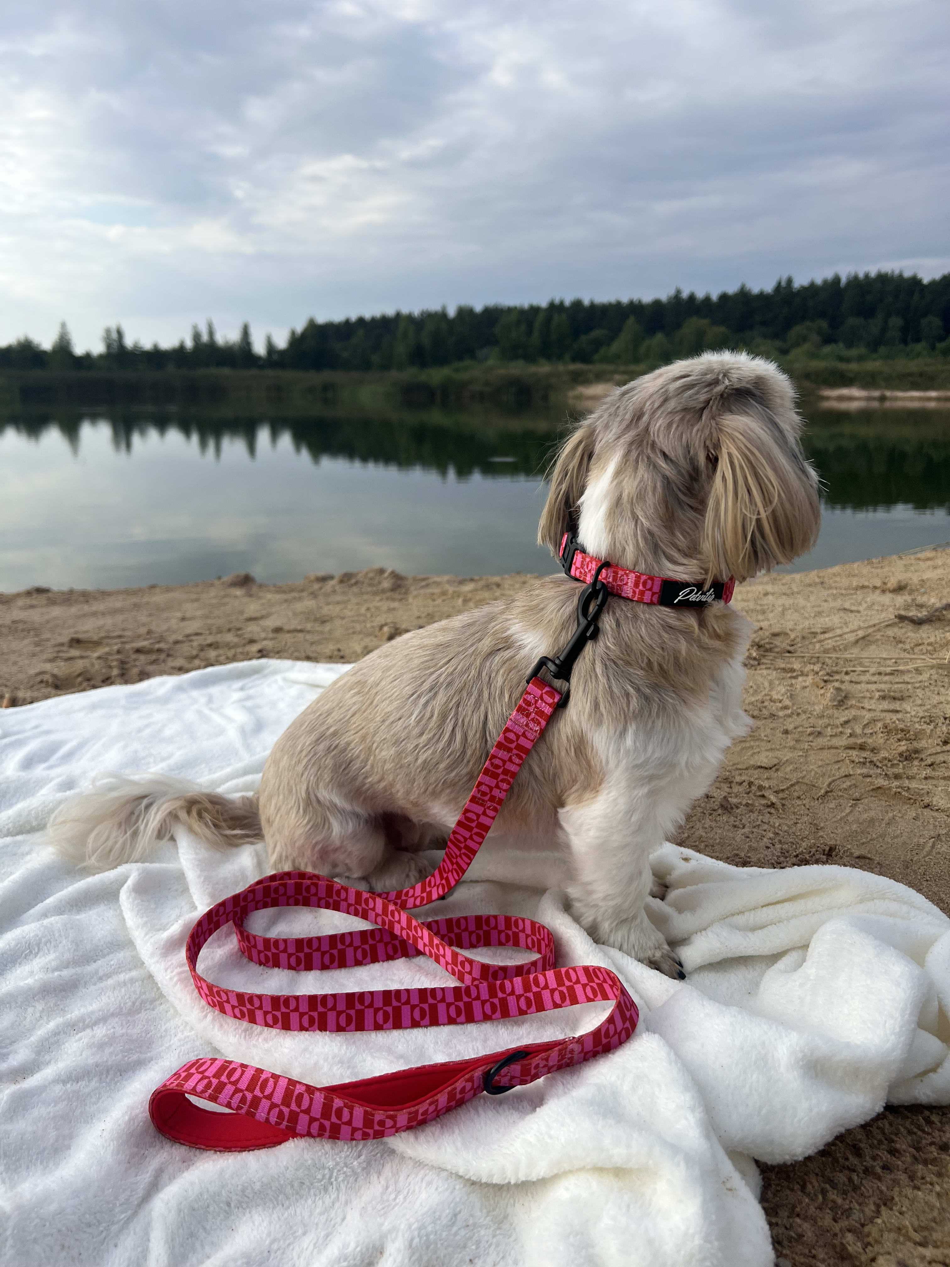 Collar "Pink Paws" – 6