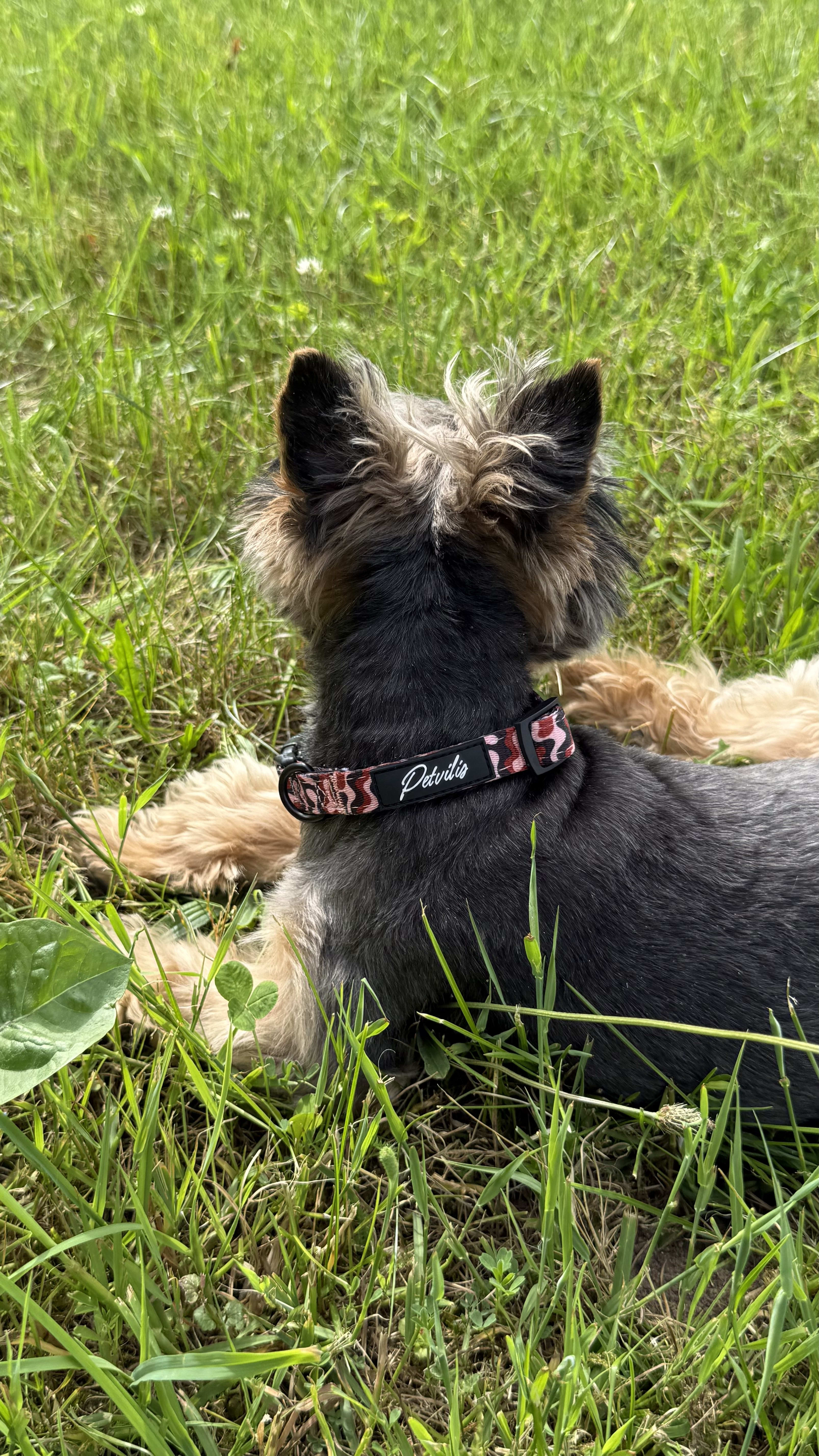 Halsband „Strömung“ – 8