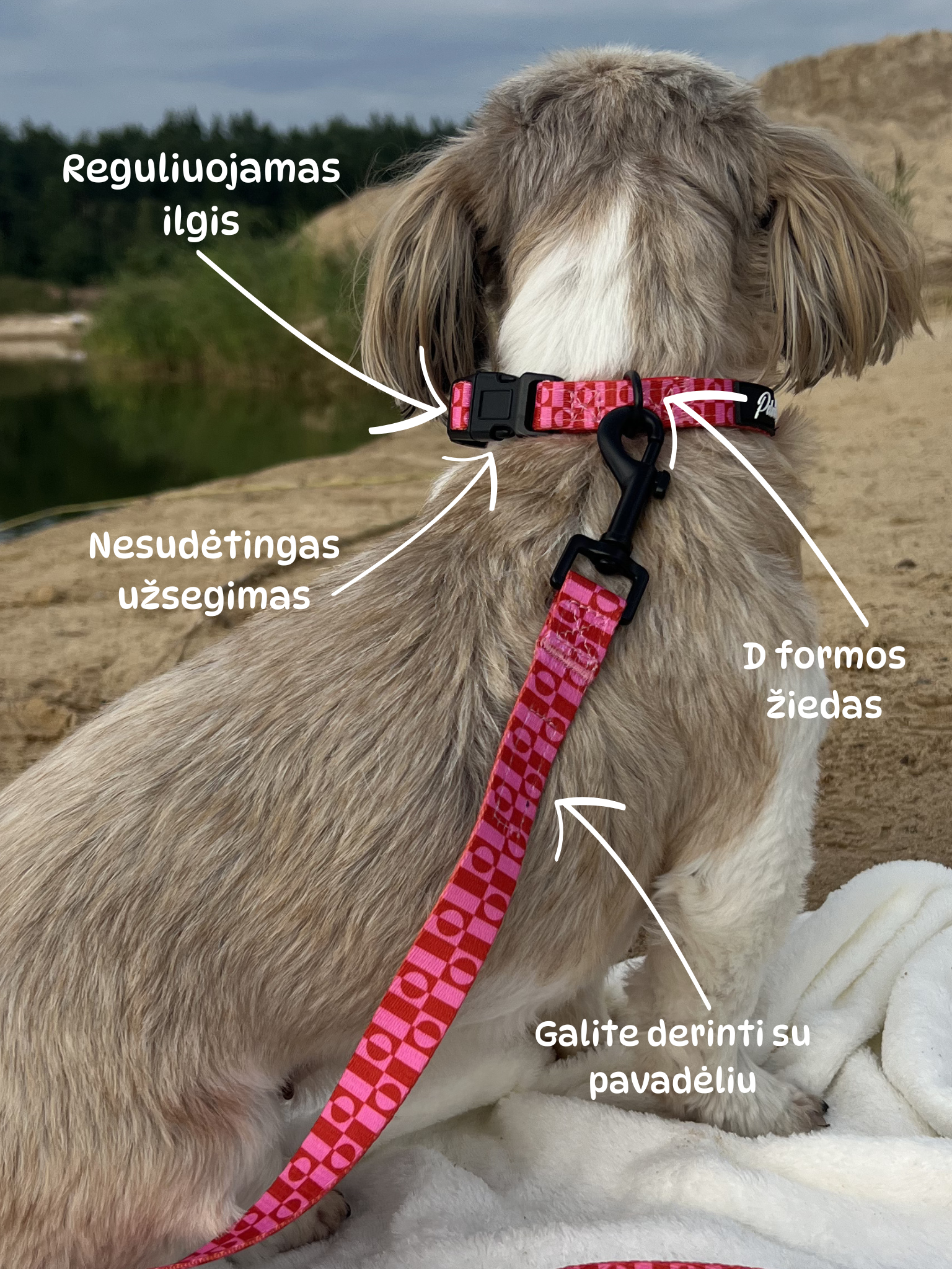 Halsband „Rosa Pfötchen" – 7