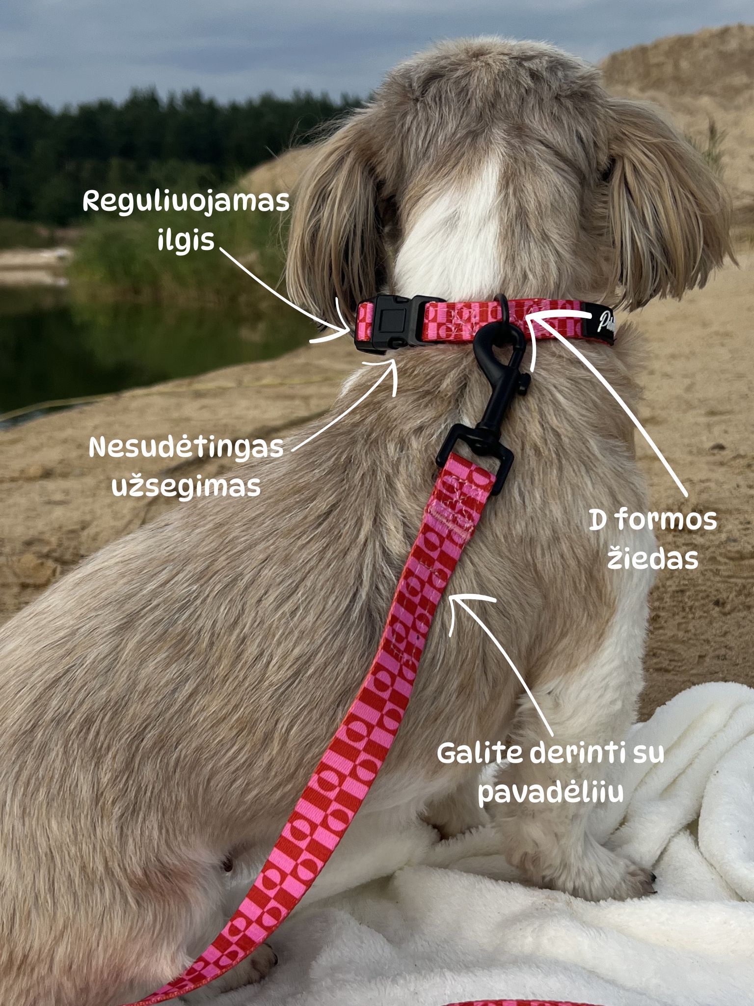 Collar "Pink Paws" – 8