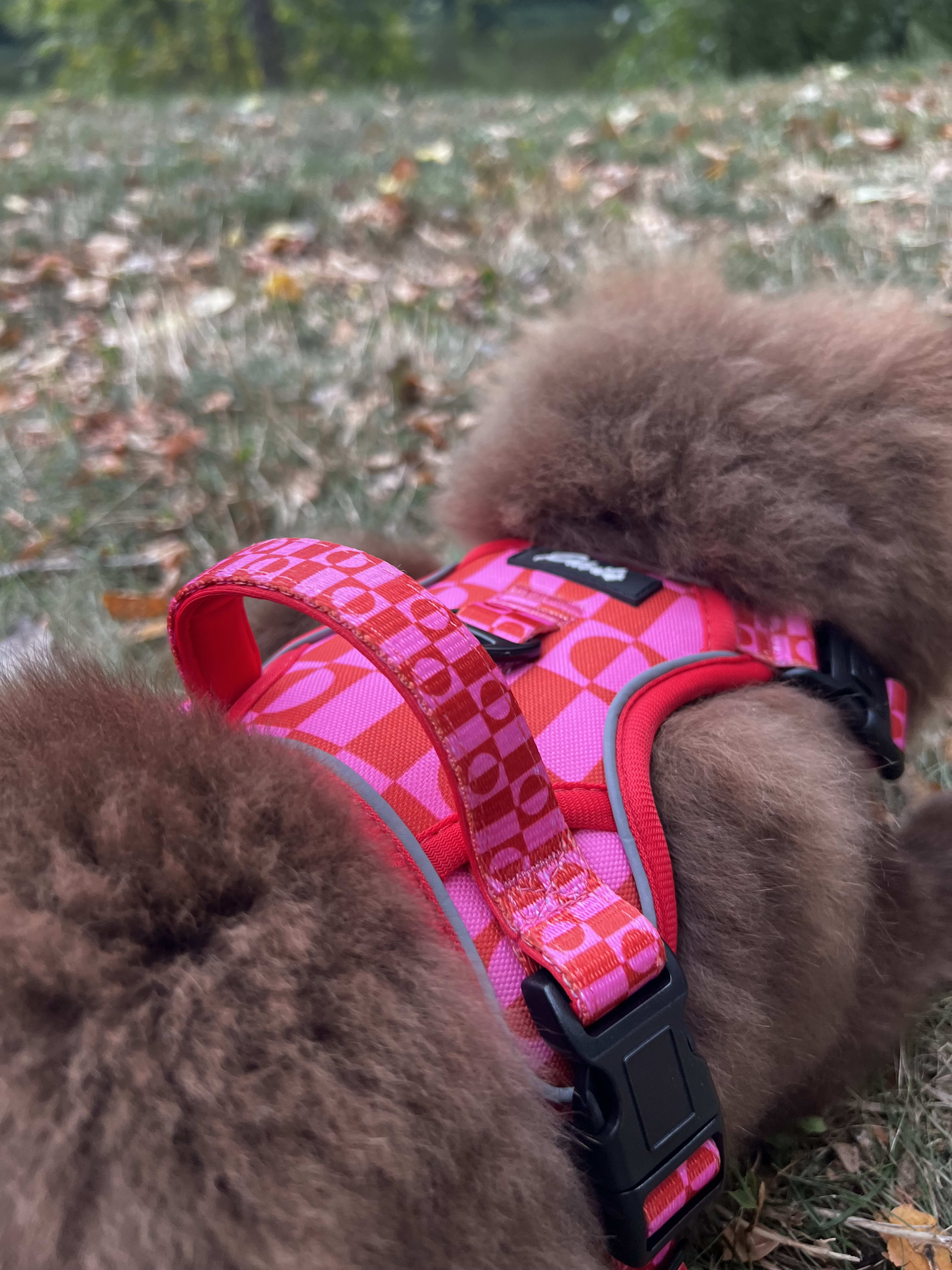 Durable “Pink Paws” Harness – 19