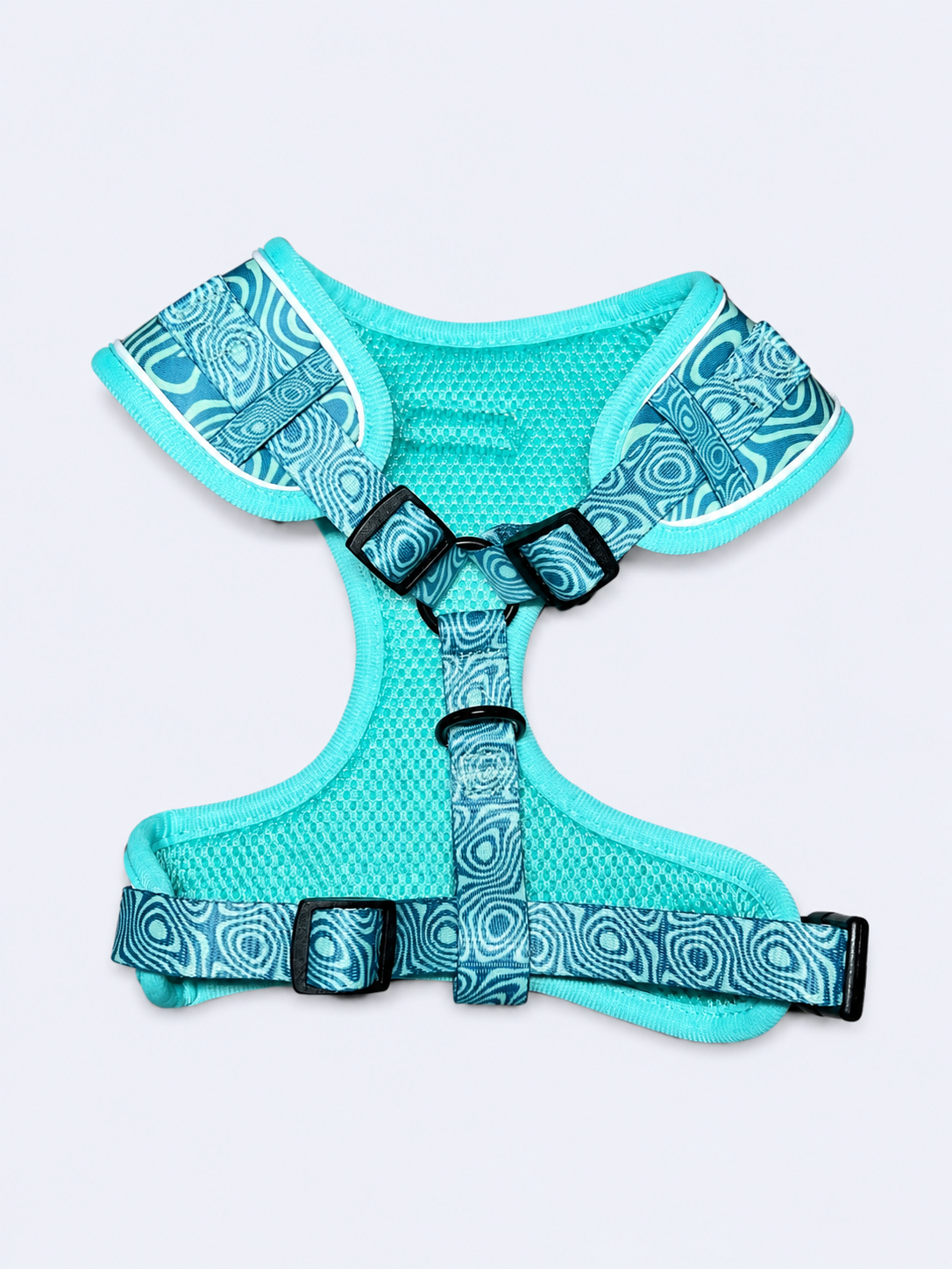 Harness “Harmony” – 5