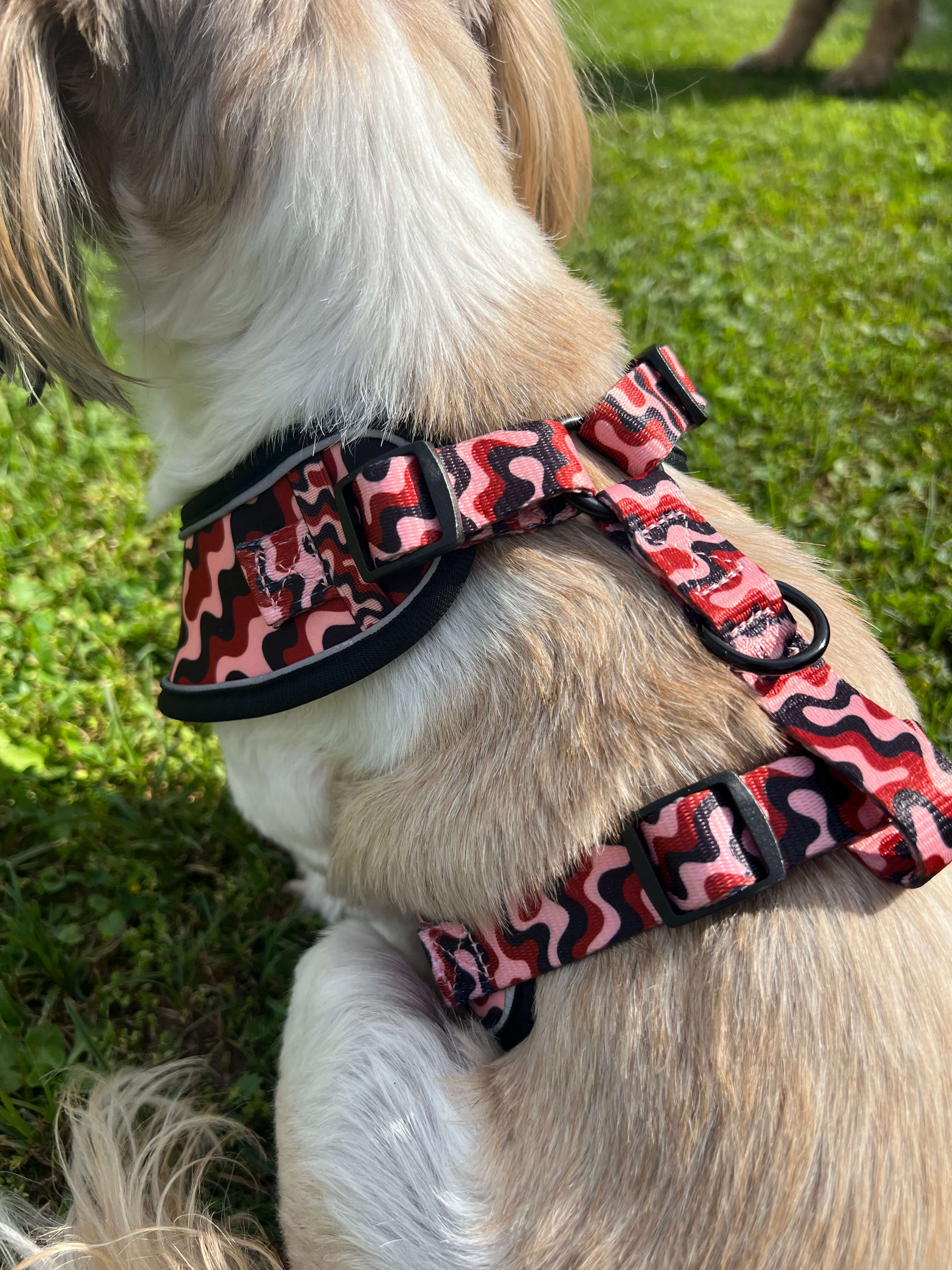 Harness “Flow” – 5
