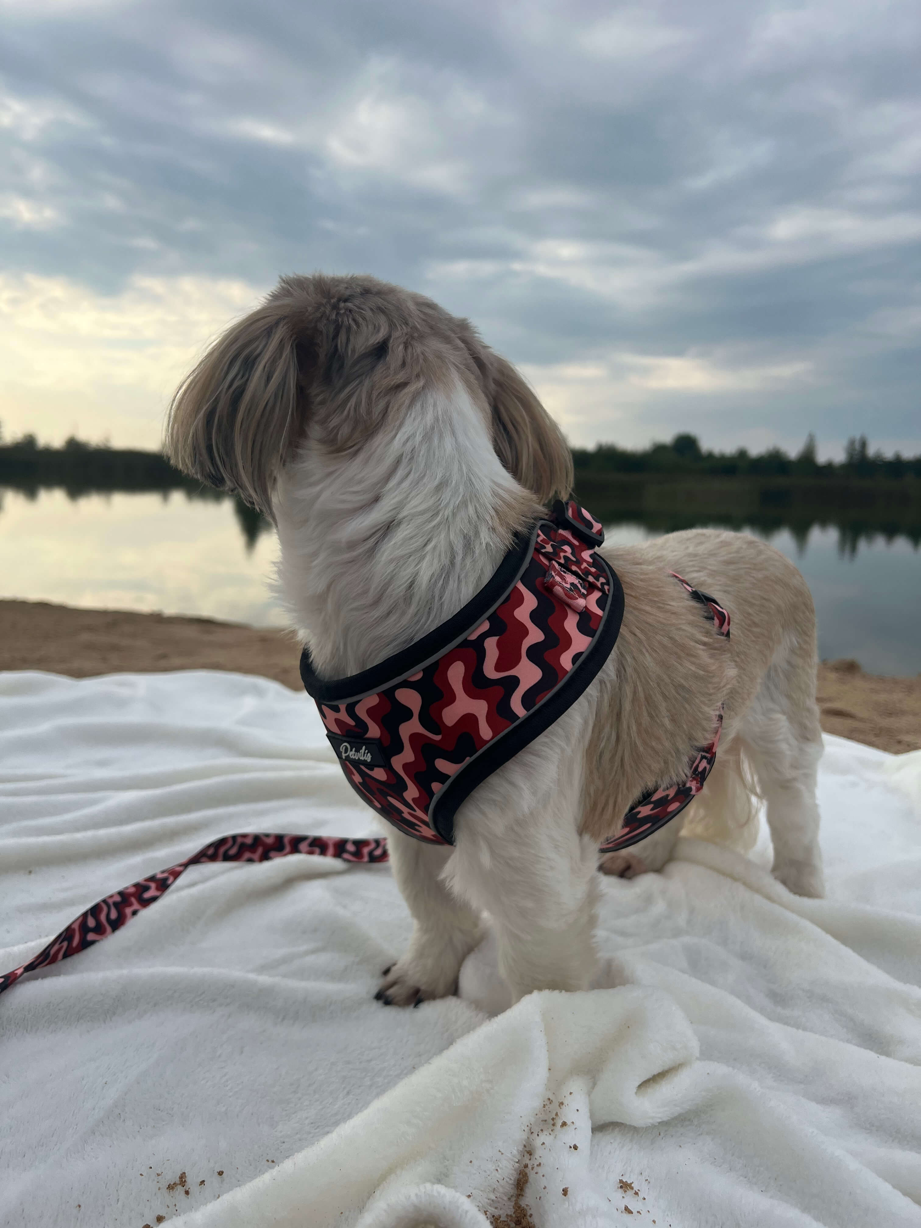 Harness “Flow” – 9