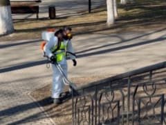 Во Владимире стартовали работы по обработке и подкормке уличной зелени