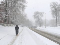 Владимирскую область накроет метель на выходных