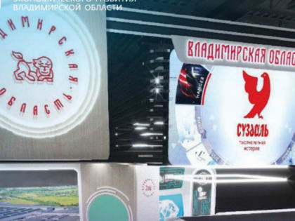 5 июня стартует Петербургский экономический форум с участием делегации Владимирской области