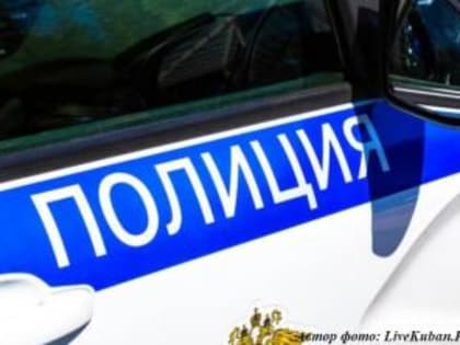 Охрана общественного порядка и обеспечение общественной безопасности в период подготовки и проведения выборов