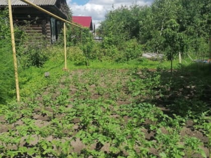 Новые инициативы по улучшению городской инфраструктуры