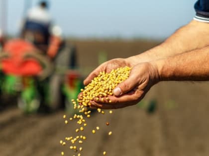 Во Владимирской области идёт посевная кампания