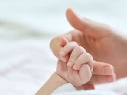 Во Владимирской области впервые за несколько лет родились тройняшки