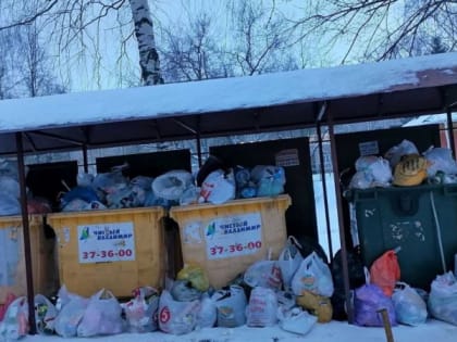 Дмитрий Наумов прокомментировал ситуацию с вывозом мусора во Владимире